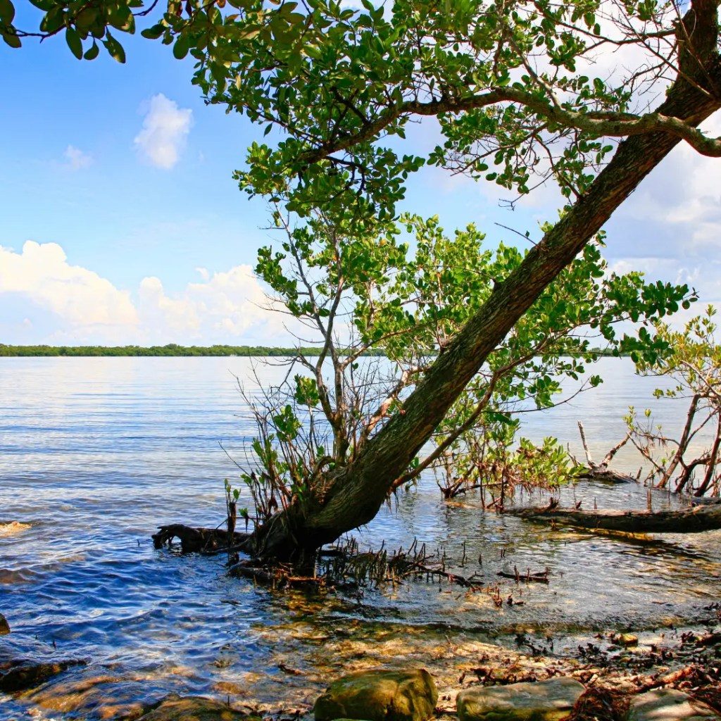 national parks in florida